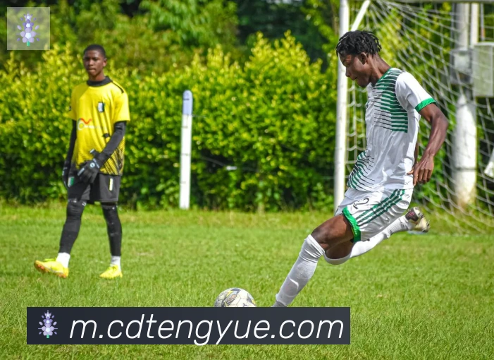 云开手机版登录入口APP 封面图