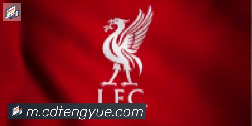 云开手机版登录入口合作伙伴