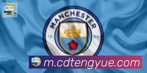 云开手机版登录入口合作伙伴